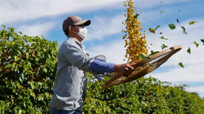 Coffee Connect 2025 debate sustentabilidade no mercado global de café