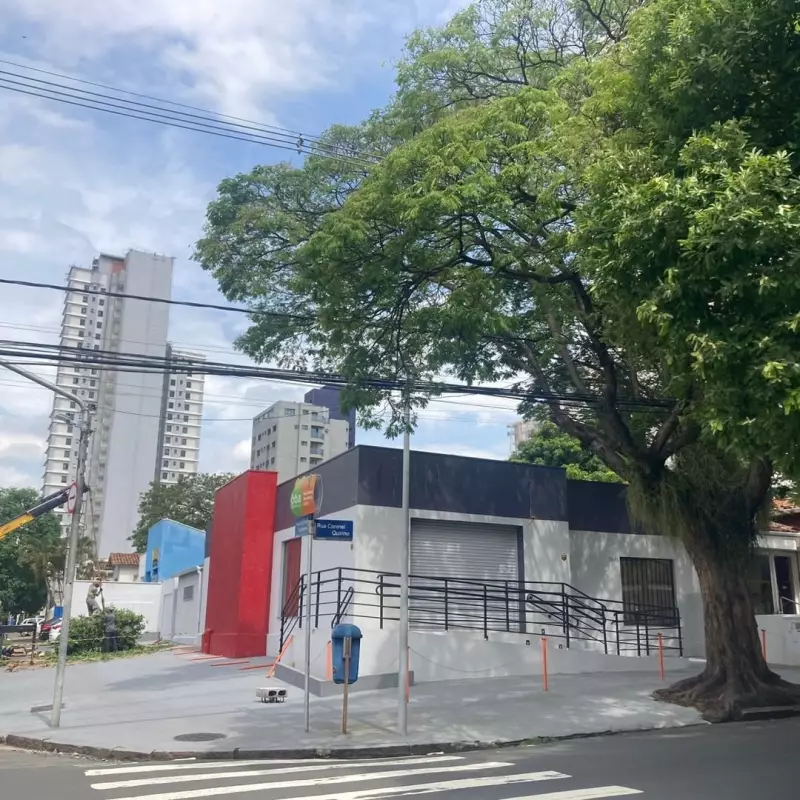 Conselho de Meio Ambiente paralisa corte de árvores no Cambuí e exige investigação em Campinas