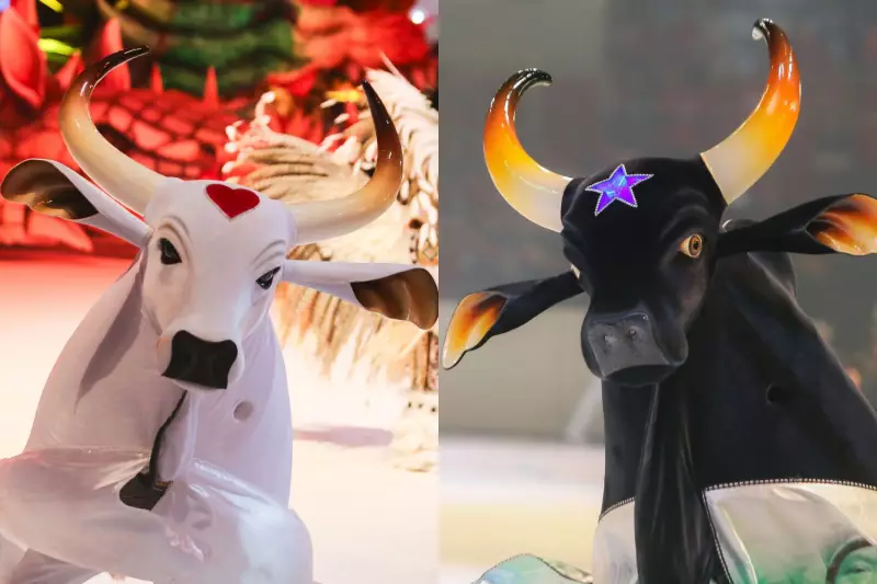 COP30: Ausência dos bois de Parintins gera polêmica na conferência