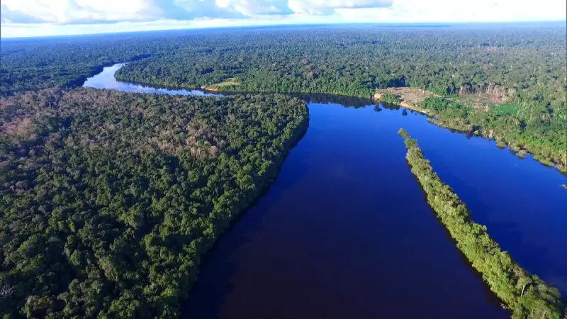 COP30: Brasil lidera debate sobre sociobioeconomia na Amazônia