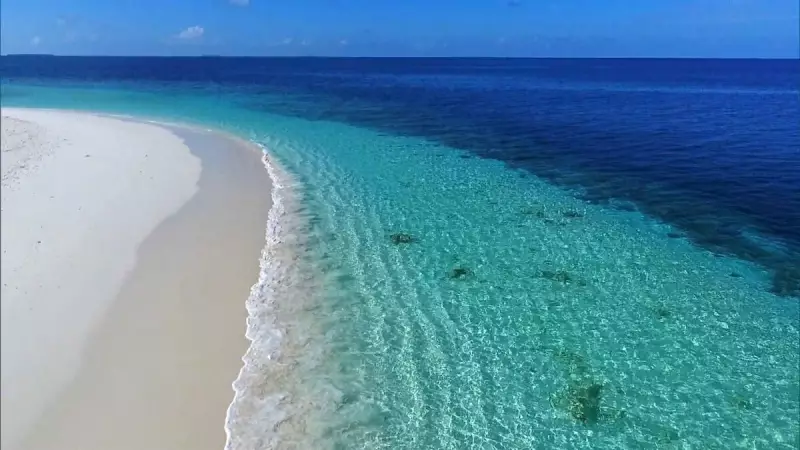 COP30: Economia Azul é chave no combate às mudanças climáticas