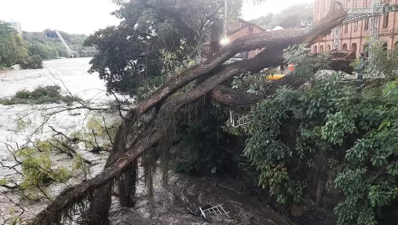 Cordeirópoliѕ Tem 2ª Maior Chuva de SP em 24h: Alerta de Tempestade na Região de Piracicaba