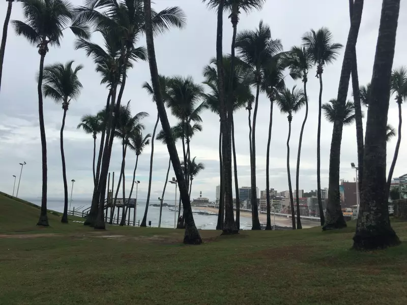 Corpo é Encontrado em Praia de Salvador: Mistério na Orla Marítima