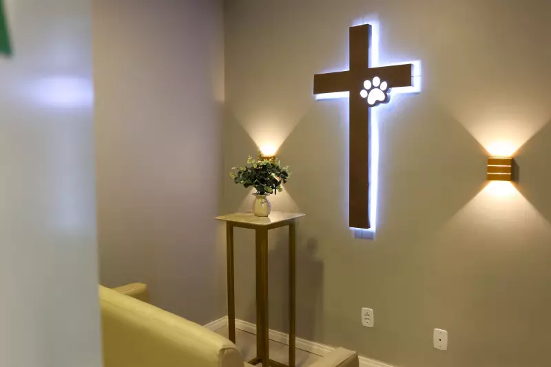 Cremação de Animais em Maceió: Solução Contra Descarte Irregular e Alívio no Luto dos Tutores