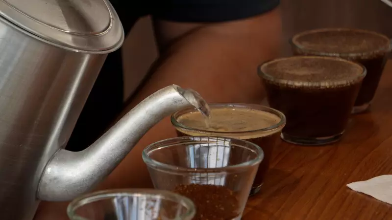 Especialíssimo 2025: 3.399 lotes concorrem em Guaxupé