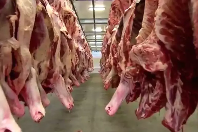 EUA retiram tarifa de 40% sobre carne e café do Brasil