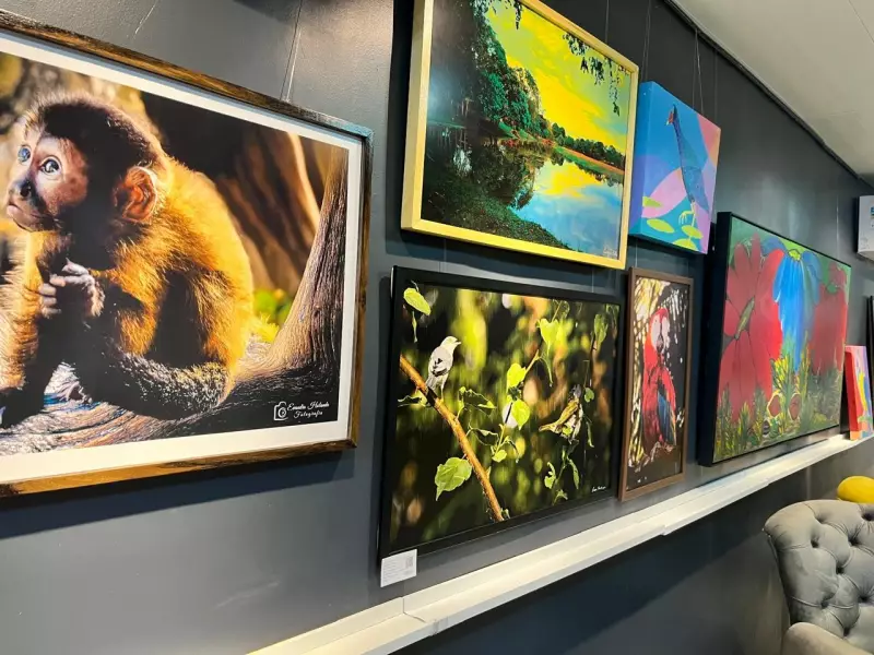 Exposição 'Uma floresta dentro da Rede Amazônica' une arte e meio ambiente