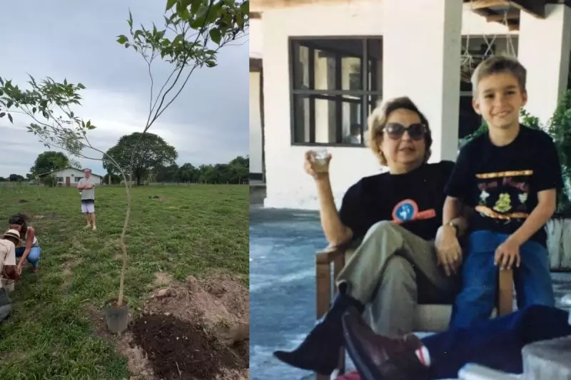 Família transforma luto em vida plantando ipê com cinzas da avó no Pantanal