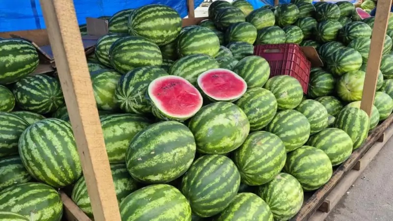 Feirantes criam corredor de melancia em Macapá com frutas a partir de R$5