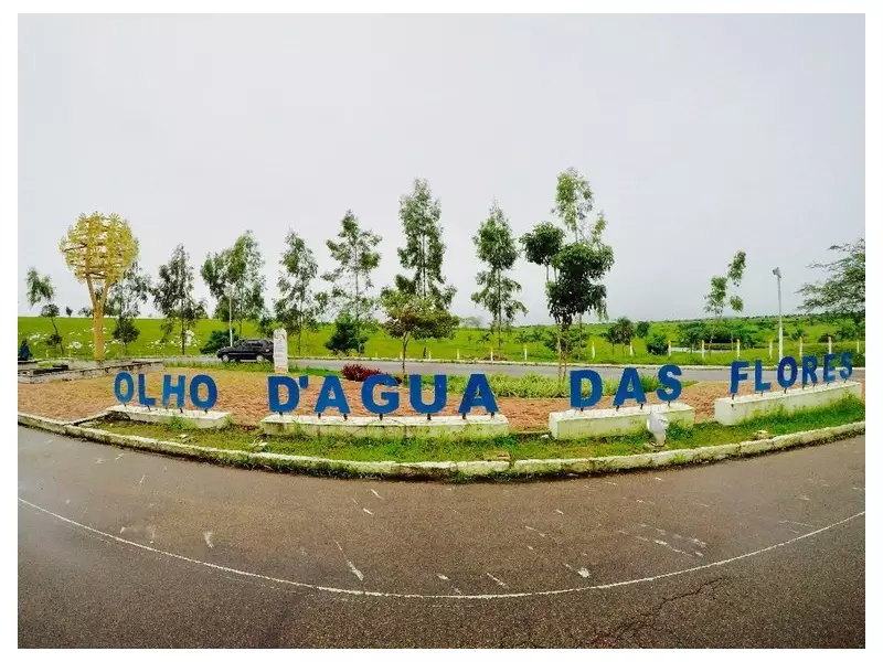 Feminicídio no Sertão: Homem mata ex-companheira e comete suicídio em tragédia que choca Alagoas