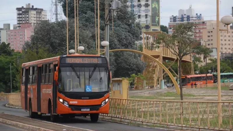 Feriado da Consciência Negra altera funcionamento de serviços em Ponta Grossa