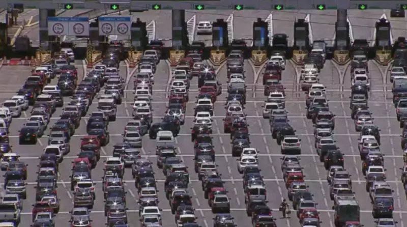 Feriado da Consciência Negra deve levar 18,1 milhões de veículos às rodovias paulistas
