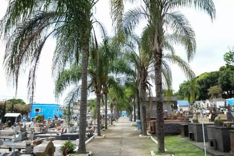 Finados 2025: Horários dos Cemitérios no Sul e Costa Verde do RJ - Confira!