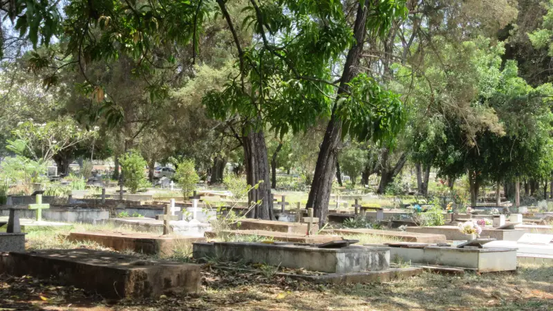 Finados em Brasília: Descubra Onde Repousam Athos Bulcão, Sarah Kubitschek e Outras Personalidades