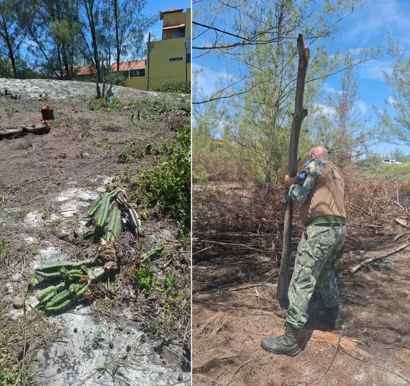 Fogo Expõe Crime Ambiental: Desmatamento e Obra Ilegal em Área de Restinga em Cabo Frio