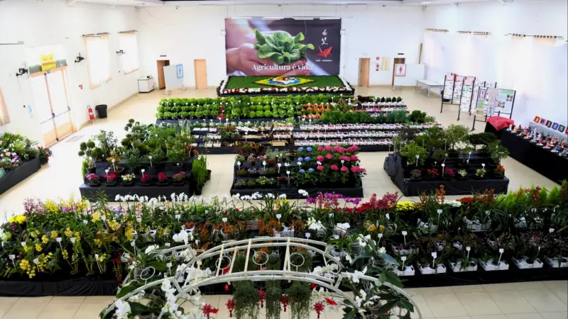 Furusato Matsuri celebra cultura japonesa em Mogi das Cruzes