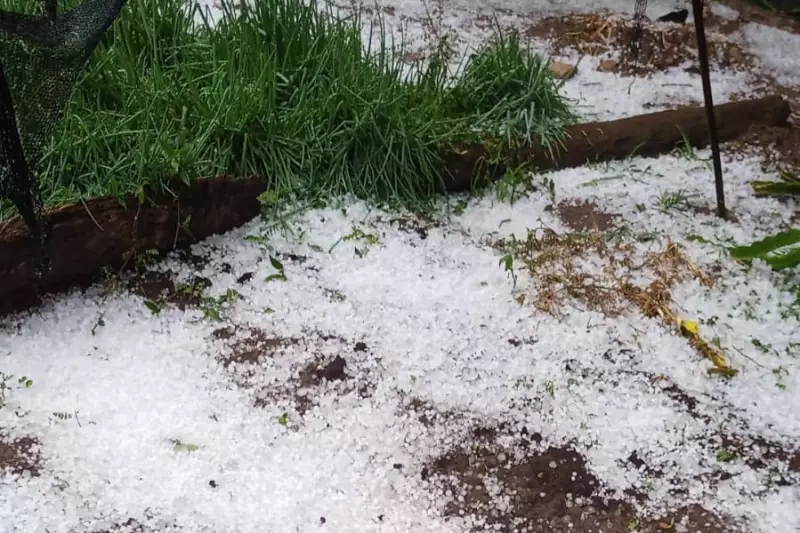 Granizo assusta interior de MG: chuva de gelo em Campo Florido