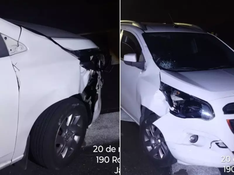 Grávida de 6 meses e companheiro atropelados na Imigrantes em Cubatão