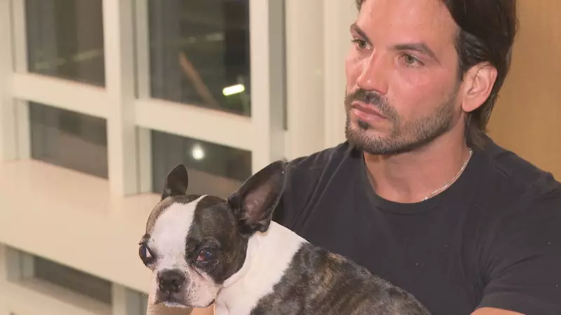 Homem com ansiedade é barrado em voo com cão de suporte emocional