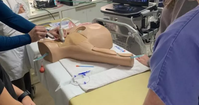 Hospital São José oferece curso de POCUS para médicos em novembro