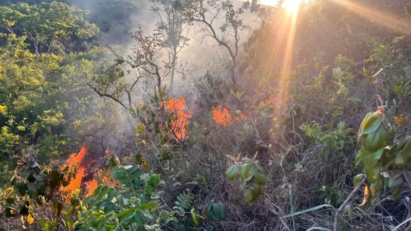 Incêndio consome 7 campos de futeiro em Presidente Olegário