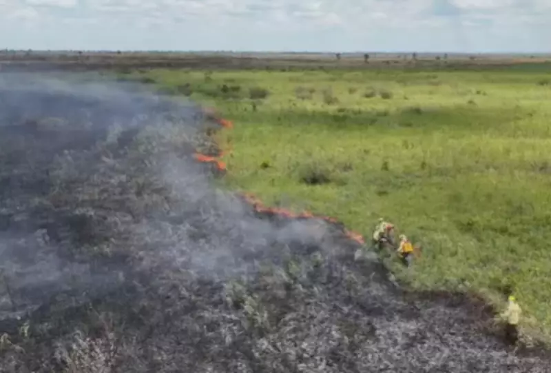 Incêndio de 3 dias já consumiu 20 km no Pantanal de Corumbá