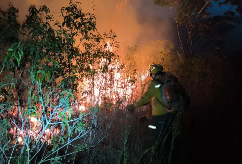 Incêndio no Pantanal: 4 dias de combate ininterrupto em Corumbá