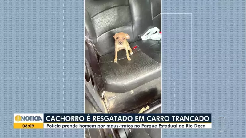 Inter TV Notícia: destaques desta segunda-feira, 24 de novembro