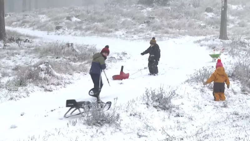 Inverno chega à Alemanha com -10°C e neve transforma cidade