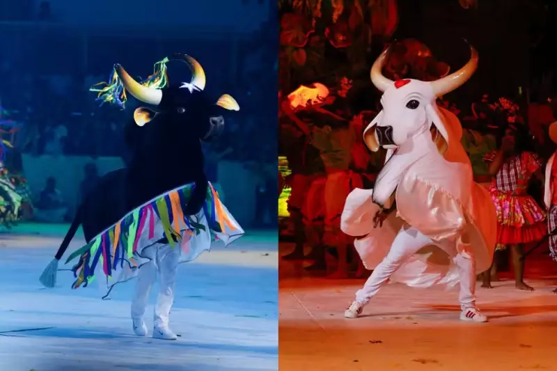 Justiça do AM paralisa venda de ingressos do Festival de Parintins 2026 por aumento abusivo nos preços