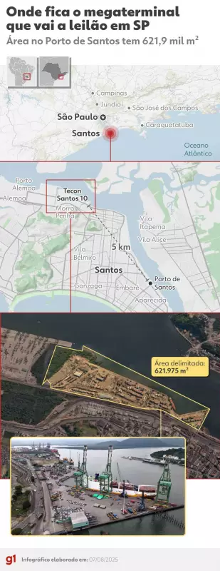 Leilão do Tecon Santos 10 adiado para 2026: entenda a polêmica