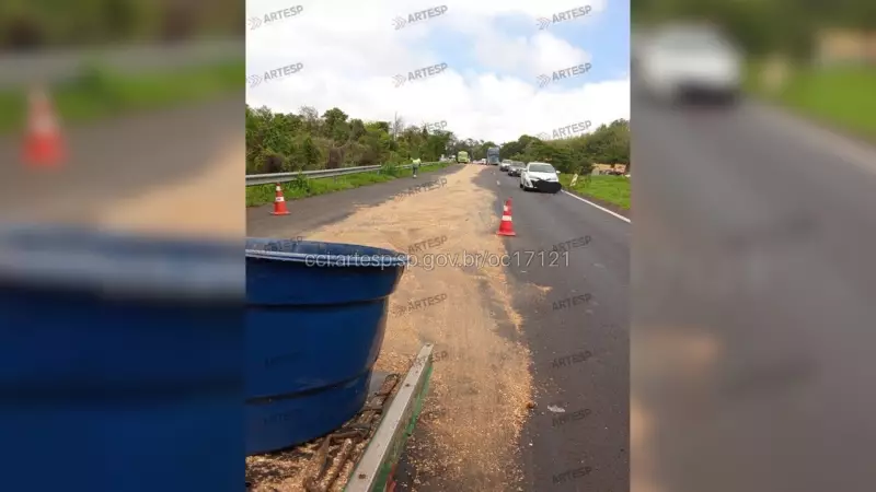 Óleo na Rodovia: Motociclistas Escorregam e Caem em Série na SP-310 em Rio Preto