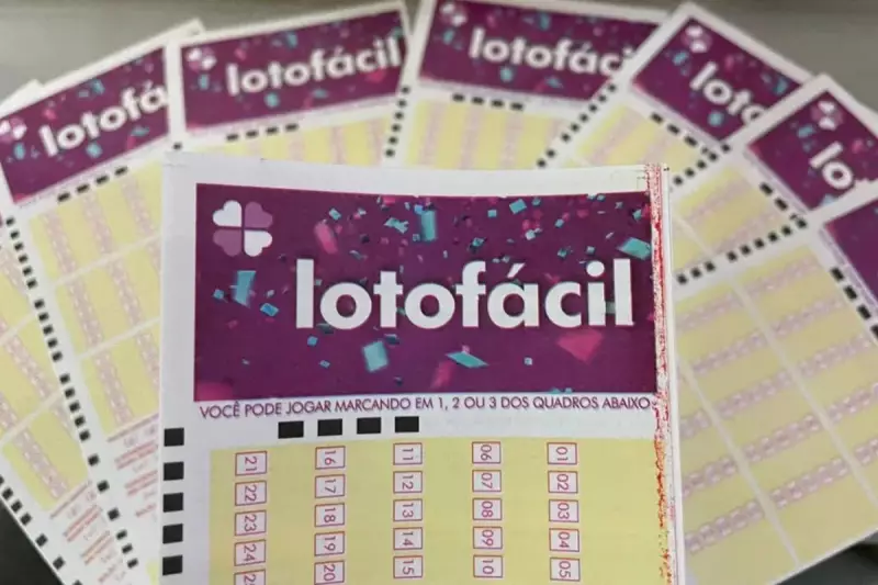 Lotofácil 3544: Aposta de Guarujá fatura R$ 1 milhão