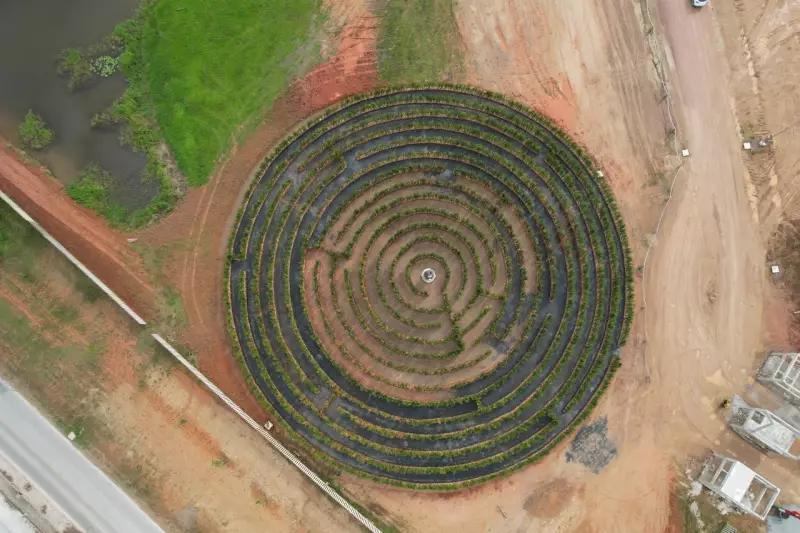 Maior labirinto do Sul do Brasil é inaugurado em SC com 6,5 mil árvores