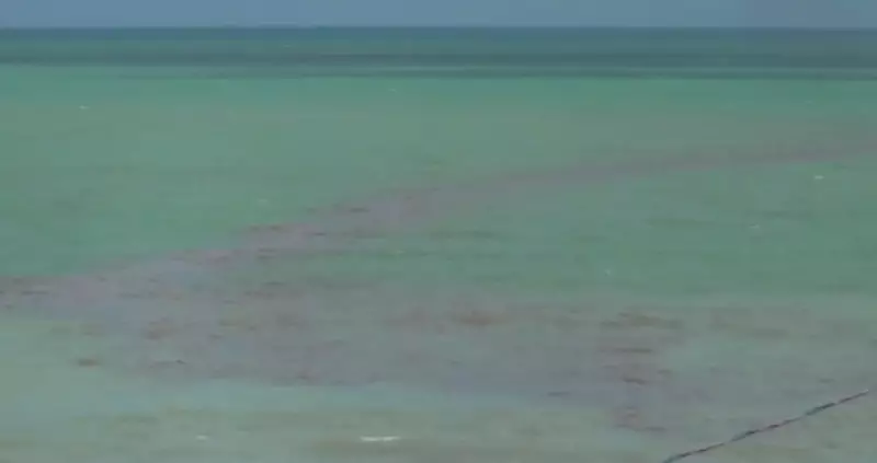 Mancha escura no mar de Ponta Negra: fenômeno natural de algas