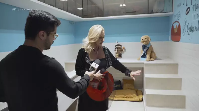 Mansões de luxo no Brasil: de suíte para pets a elevador privativo