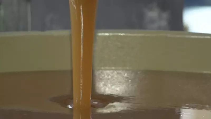 Mel de Maringa Supera Tarifaço e Exportação para EUA Dispara 700%