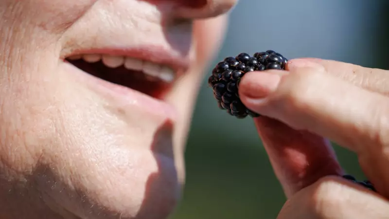 Metais Pesados: Como Evitar a Acumulação Tóxica no Corpo