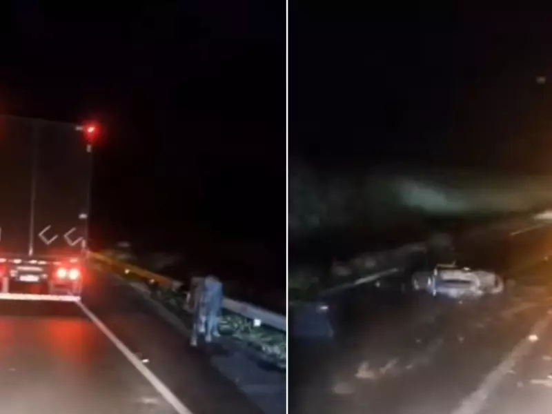 Motociclista morre após colidir com búfalo na BR-116 em Juquiá