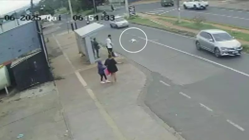 Motorista atropela cachorro duas vezes em Ribeirão Preto e alega estar atrasado