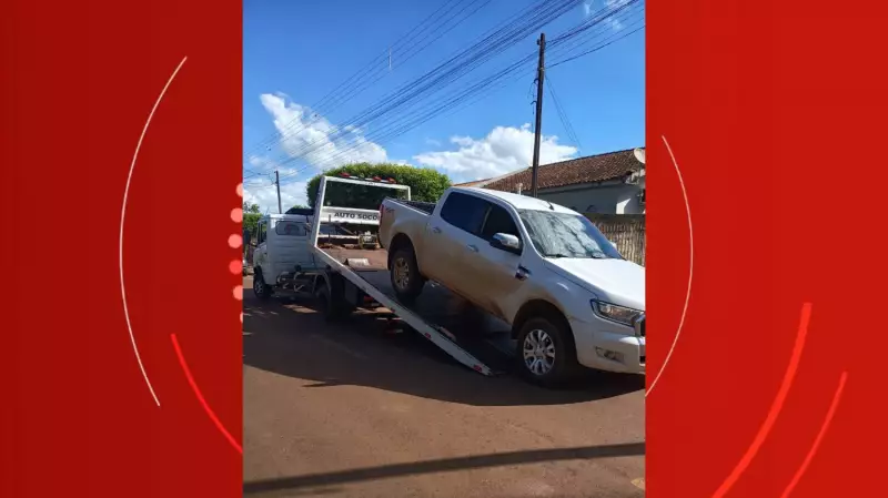 Motorista tem carro apreendido por atropelar cachorro no PR