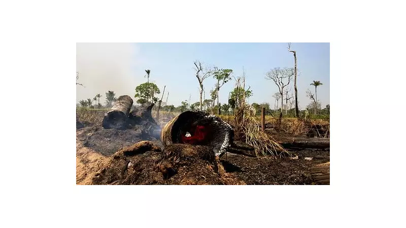 MPF investiga fraudes no Sisflora que legalizavam madeira ilegal