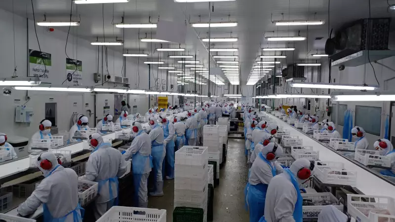 MPT Desmascara Jornadas Exaustivas e Doenças Ocupacionais em Frigoríficos do ES: Uniaves e Pif Paf na Mira da Justiça