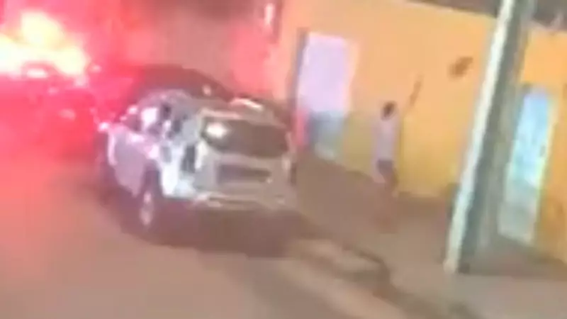 Mulher arremessa filhote de cachorro por muro em Teresina; caso é investigado