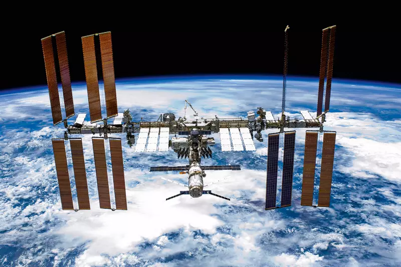 Musgo sobrevive 9 meses no espaço e abre portas para vida extraterrestre