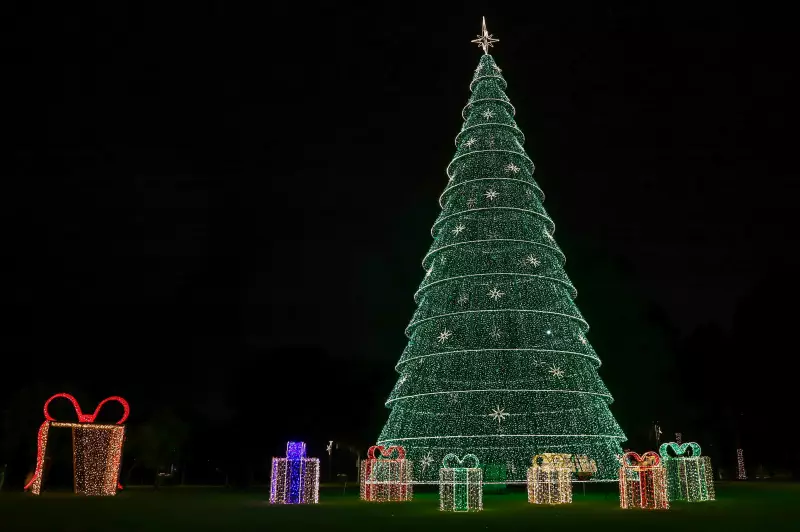 Natal Social 2025: Campanha de Doação de Presentes Transforma o Final de Ano em São José dos Pinhais