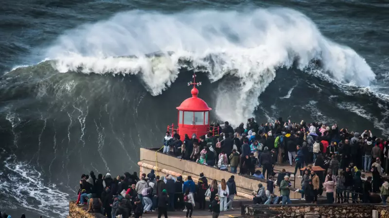 Nazaré em Alerta: Janela para Ondas Gigantes se Abre e Atrai os Maiores Nomes do Surf Mundial
