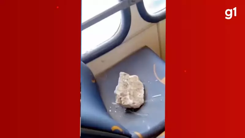 Ônibus é alvo de pedradas no Centro de São Luís; cenas de vandalismo chocam