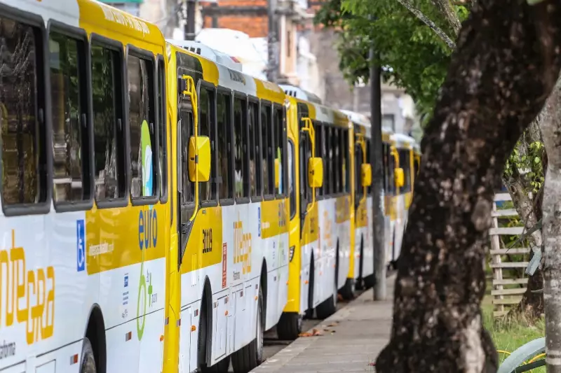 Nova Linha de Ônibus Conecta Bairros de Salvador: Conheça o Itinerário e Tarifas