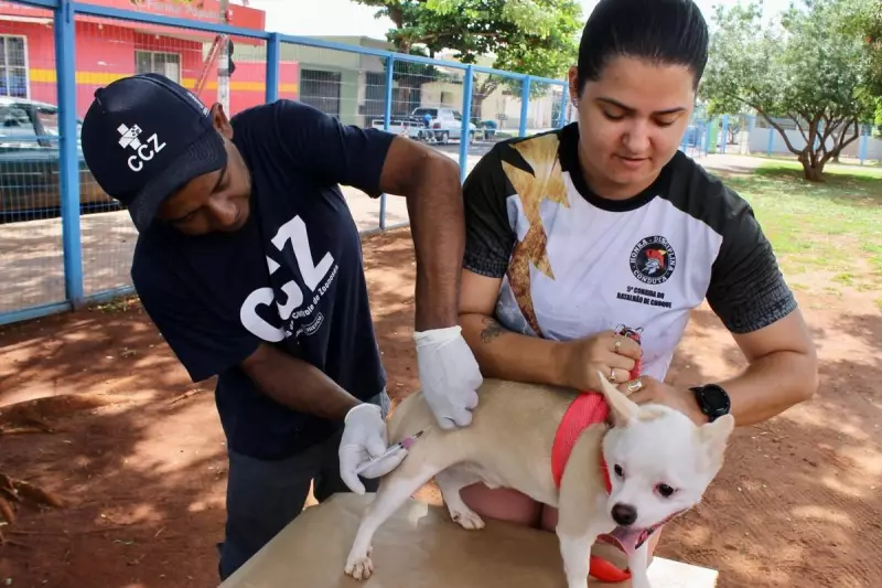 Novos Horários nos Órgãos Públicos de Campo Grande: Confira as Mudanças que Afetam seu Dia a Dia